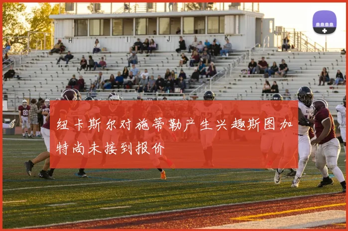 纽卡斯尔对施蒂勒产生兴趣斯图加特尚未接到报价